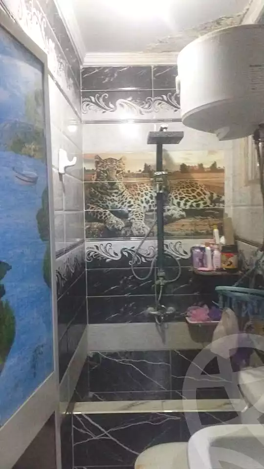 https://aqarmap.com.eg/ar/listing/7265582-for-sale-alexandria-shds
