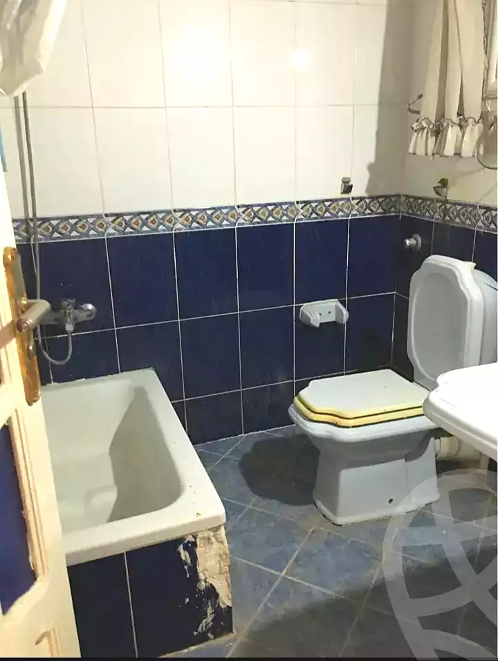 https://aqarmap.com.eg/en/listing/7267130-for-rent-alexandria-al-agamy-lbytsh-bianchiii-el-bashwat-st