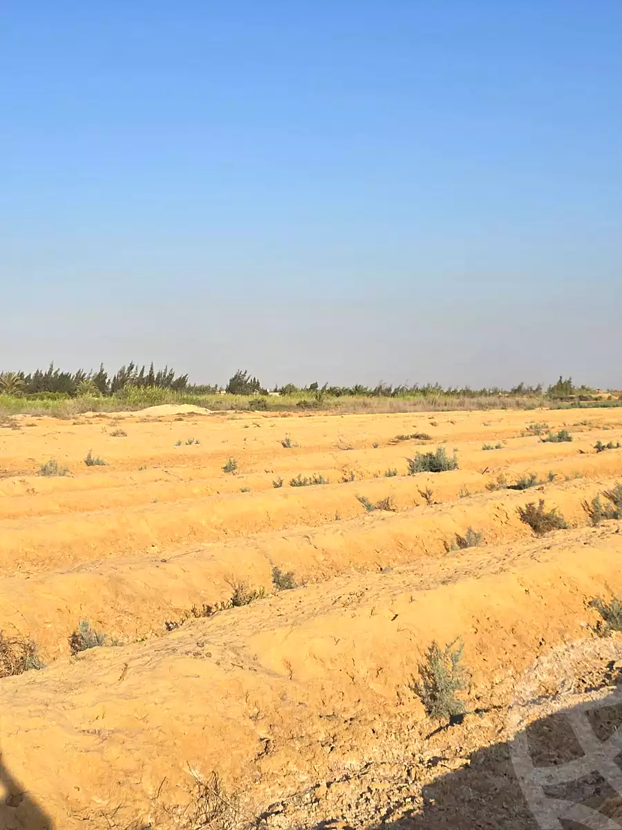 https://aqarmap.com.eg/en/listing/7267640-for-sale-beheira-wadi-el-natrun-el-safa-village-and-el-marwa