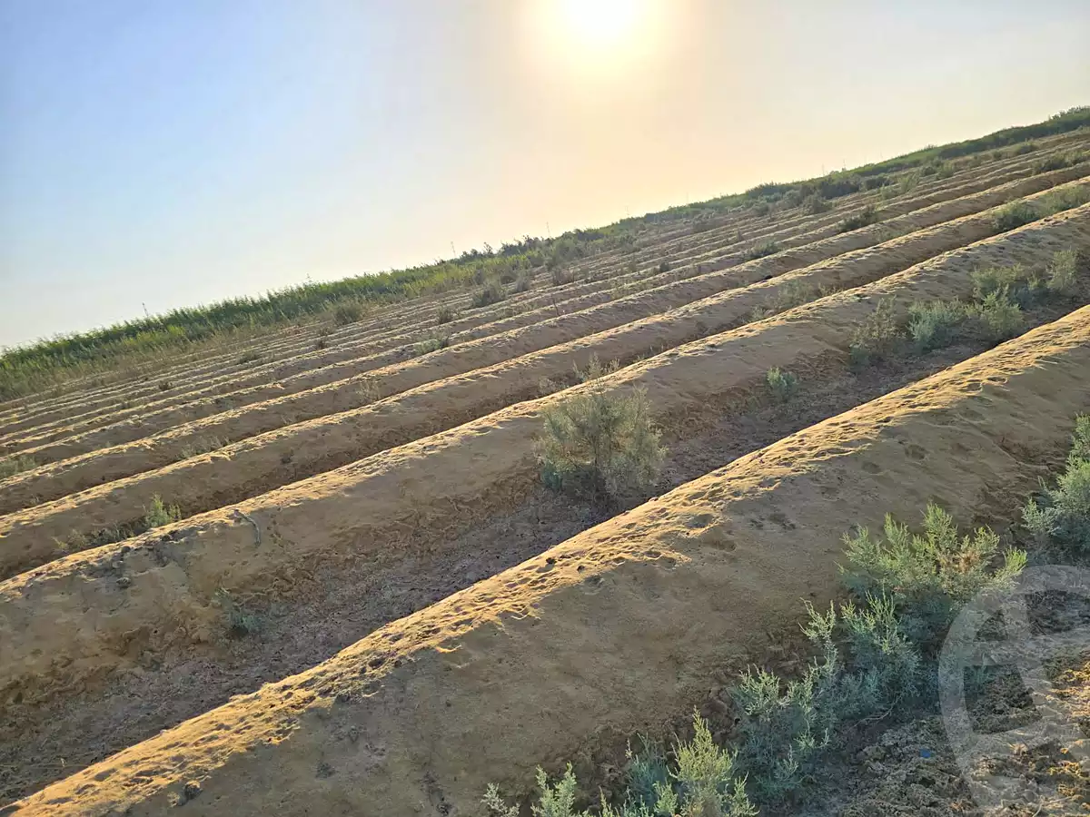 https://aqarmap.com.eg/en/listing/7267640-for-sale-beheira-wadi-el-natrun-el-safa-village-and-el-marwa