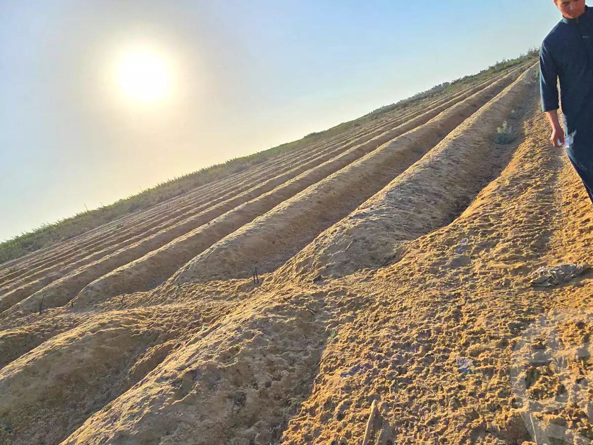 https://aqarmap.com.eg/en/listing/7267640-for-sale-beheira-wadi-el-natrun-el-safa-village-and-el-marwa