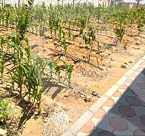 https://aqarmap.com.eg/en/listing/7269544-for-sale-cairo-ljyz