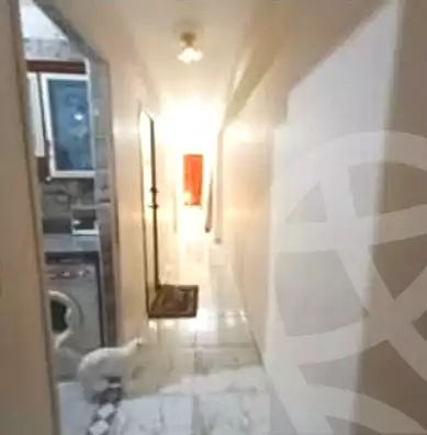 https://aqarmap.com.eg/en/listing/7271354-for-sale-alexandria-fyktwry