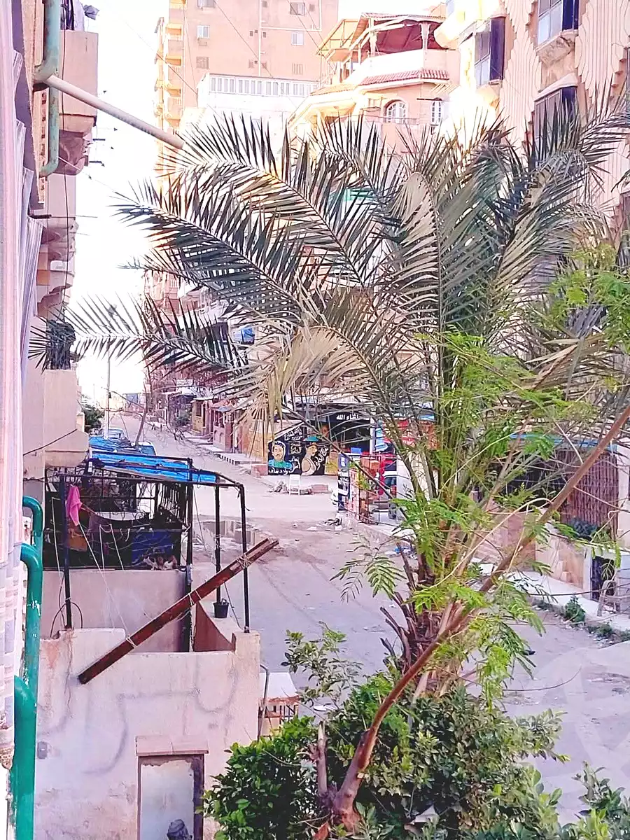 https://aqarmap.com.eg/ar/listing/7272104-for-sale-alexandria-al-agamy-shataa-el-nakheel-street-37