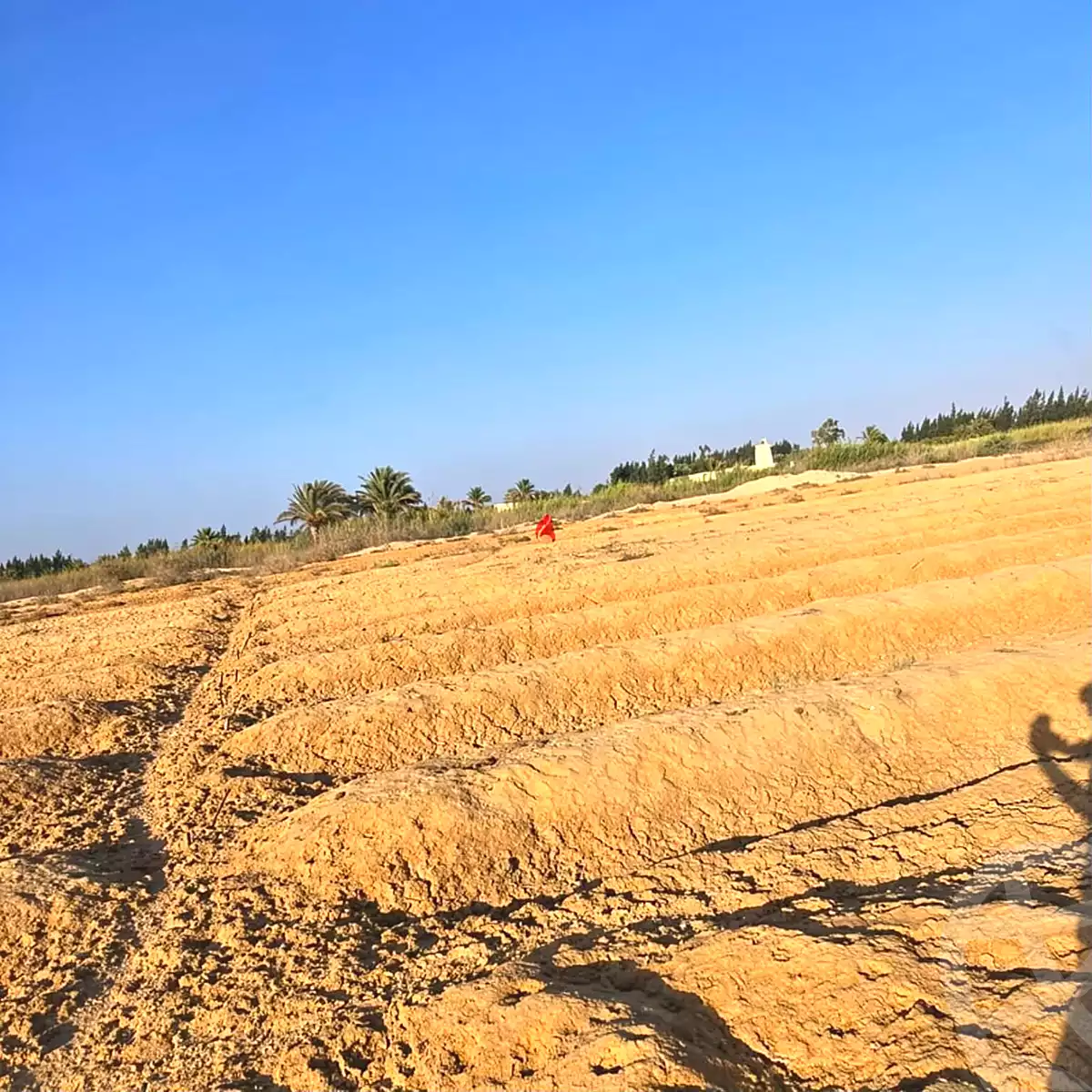 https://aqarmap.com.eg/ar/listing/7273801-for-sale-beheira-wadi-el-natrun