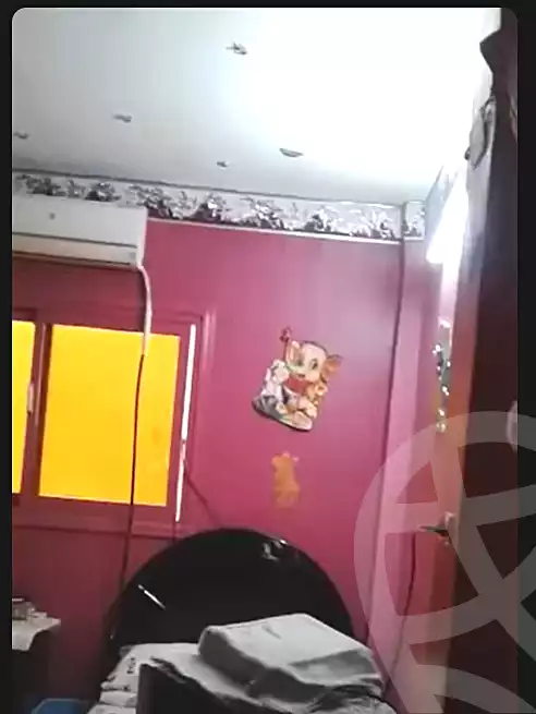 https://aqarmap.com.eg/en/listing/7273803-for-sale-cairo-ain-shams-jsr-lswys