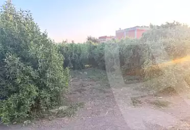 https://aqarmap.com.eg/ar/listing/7275831-for-sale-dakahlia-mit-ghamr-kafr-el-shaikh-helal