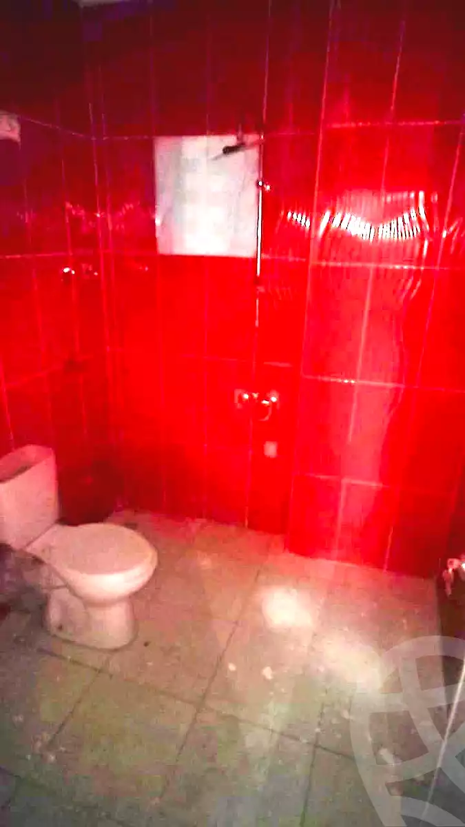 https://aqarmap.com.eg/en/listing/7276879-for-rent-alexandria-el-dekhela