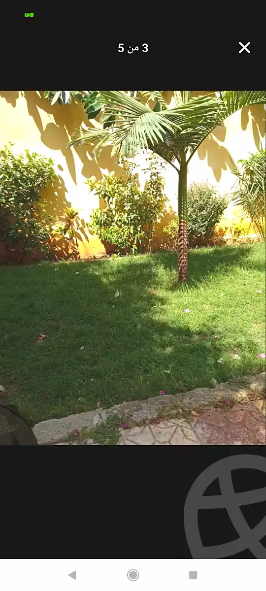 https://aqarmap.com.eg/en/listing/7277932-for-sale-alexandria-al-agamy-el-hanouvel-kasr-al-quiri-st-1