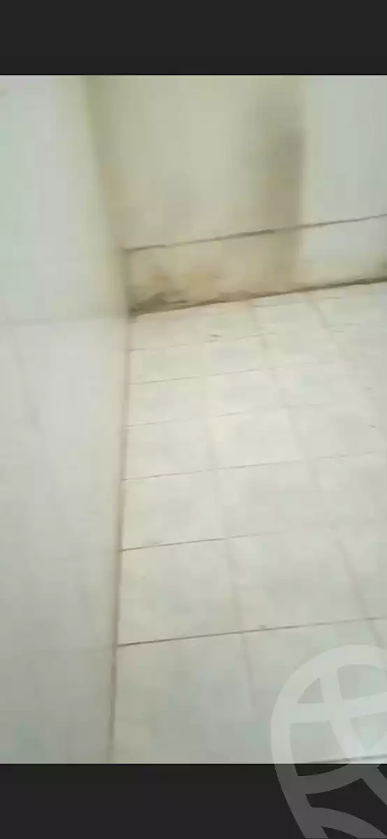 https://aqarmap.com.eg/en/listing/7279920-for-sale-cairo-ain-shams-ahmed-esmat-st