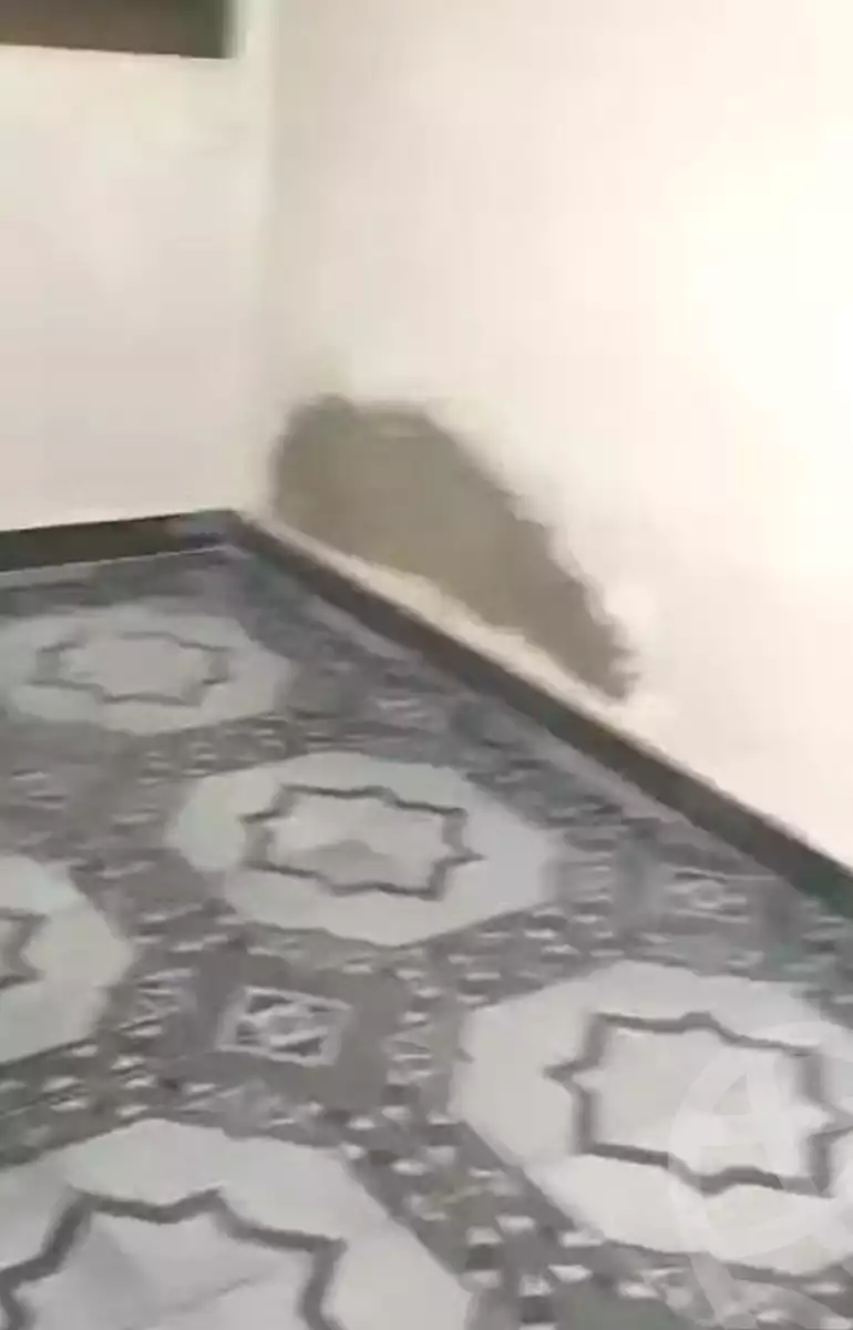 https://aqarmap.com.eg/ar/listing/7280034-for-rent-cairo-shoubra-ltr-lbwlqy