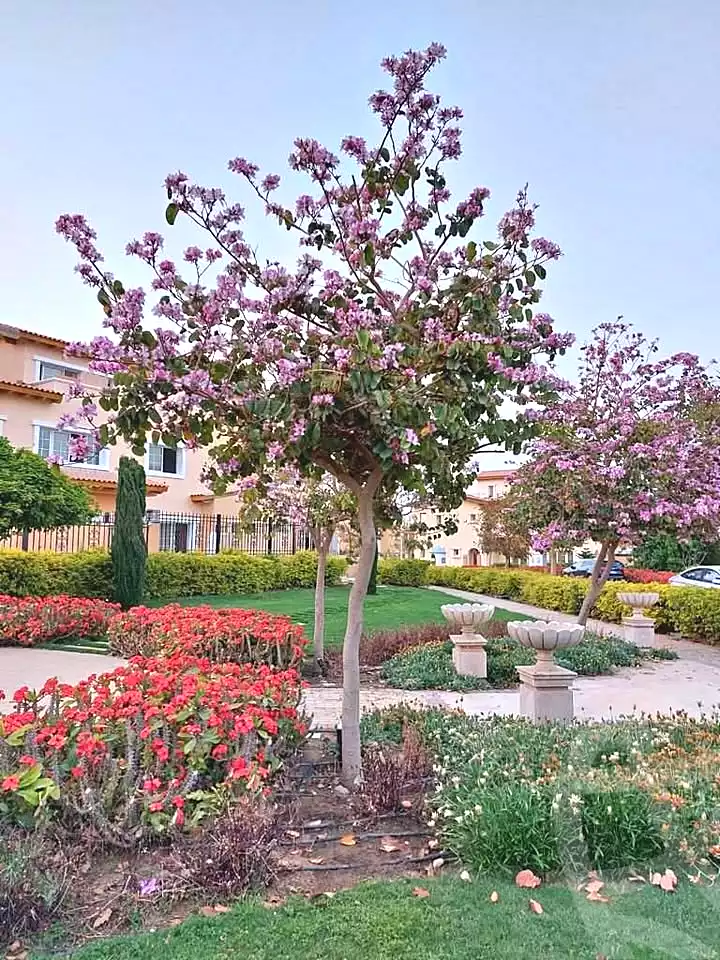 https://aqarmap.com.eg/en/listing/7281216-for-sale-cairo-new-cairo-6th-settlement-compounds-hyde-park-central-compound