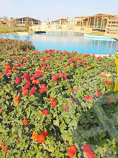 https://aqarmap.com.eg/ar/listing/7283981-for-sale-cairo-new-cairo-compounds-hyde-park-centre-ville-hyde-park