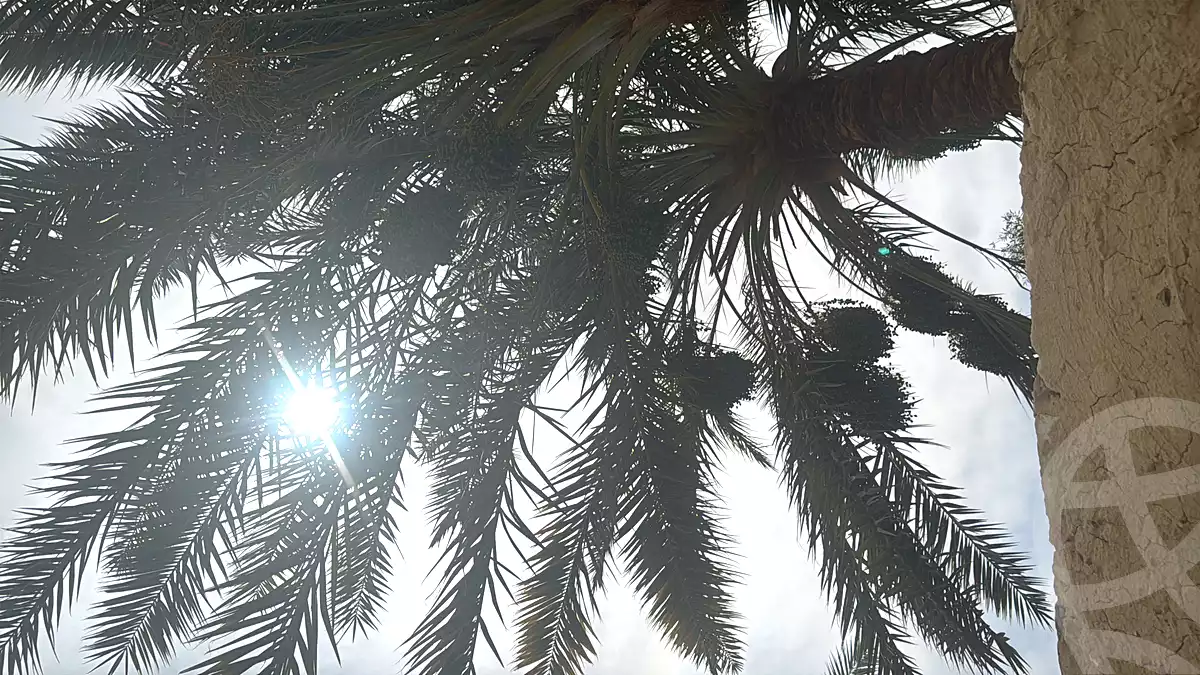 https://aqarmap.com.eg/en/listing/7285602-for-sale-marsa-matruh-siwa-oasis-wahet-siwaa-city