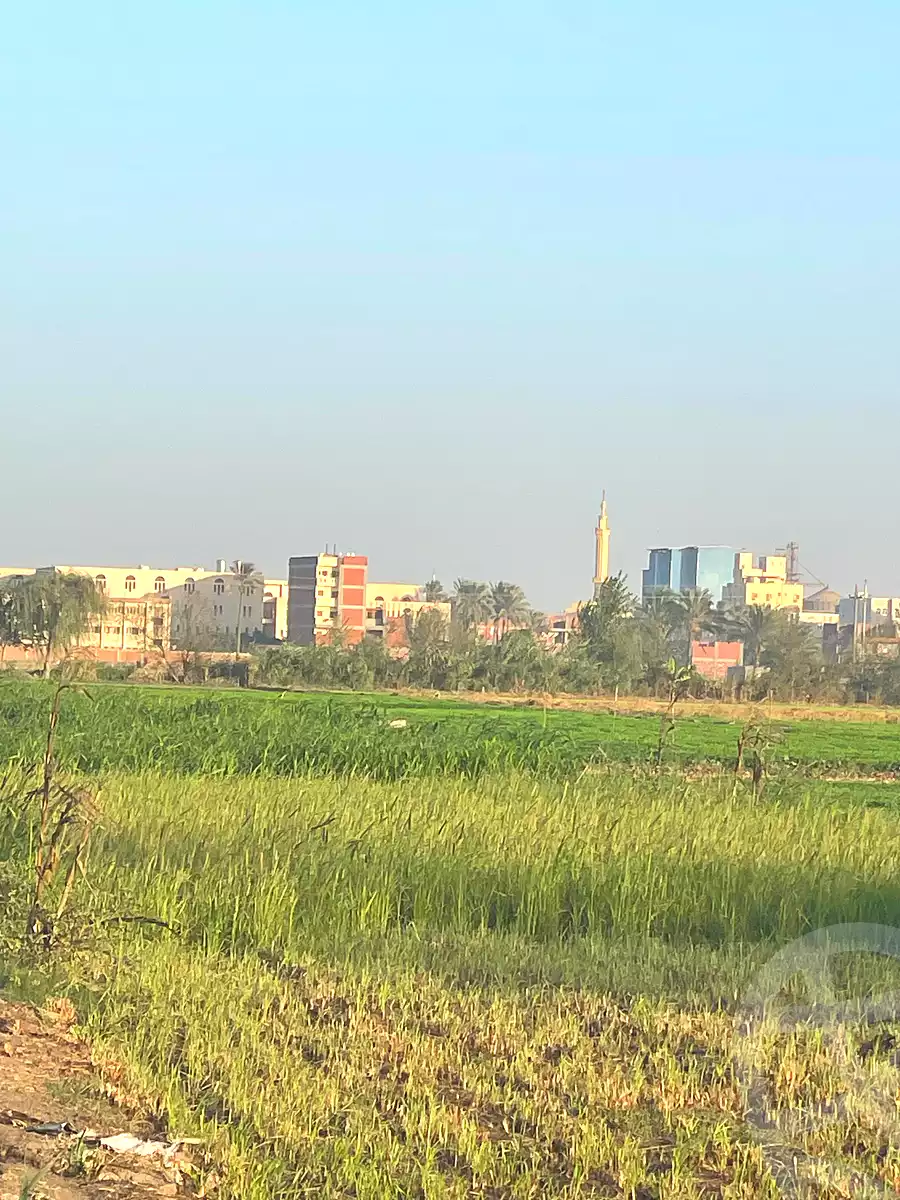 https://aqarmap.com.eg/en/listing/7049438-for-sale-qalyubia-kafr-shukr-el-safeen