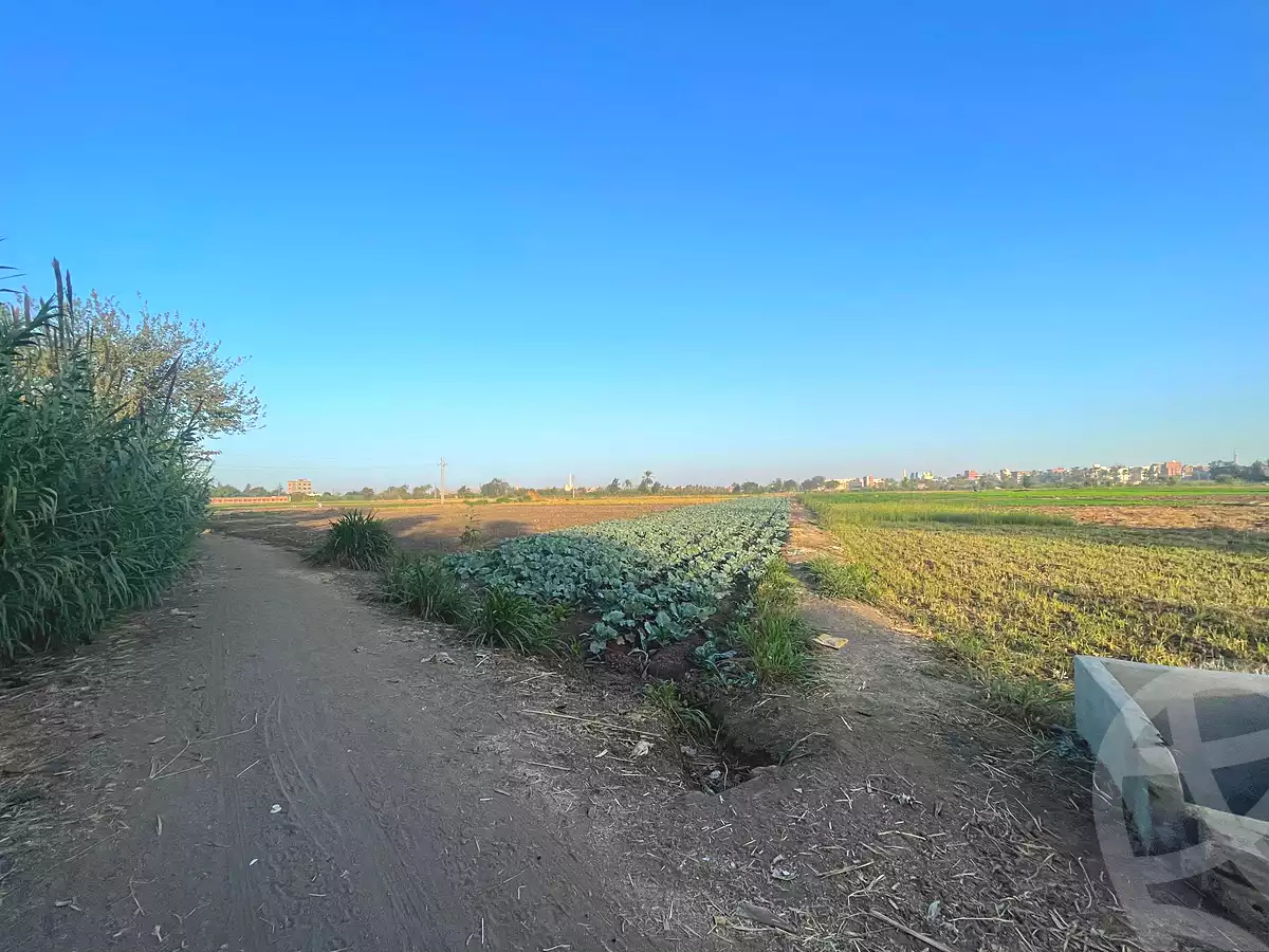 https://aqarmap.com.eg/en/listing/7049438-for-sale-qalyubia-kafr-shukr-el-safeen