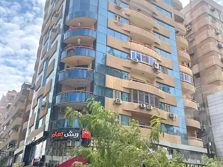 https://aqarmap.com.eg/ar/listing/7287297-for-sale-cairo-nasr-city-mohamed-hassanein-heikal
