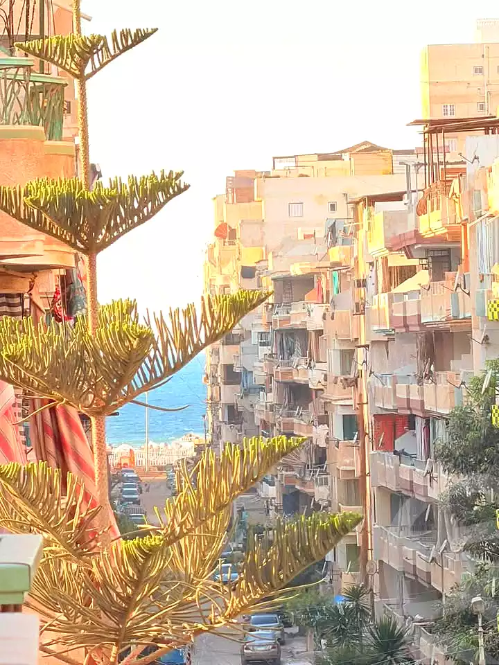 https://aqarmap.com.eg/en/listing/7288566-for-sale-alexandria-al-agamy-shataa-el-nakheel