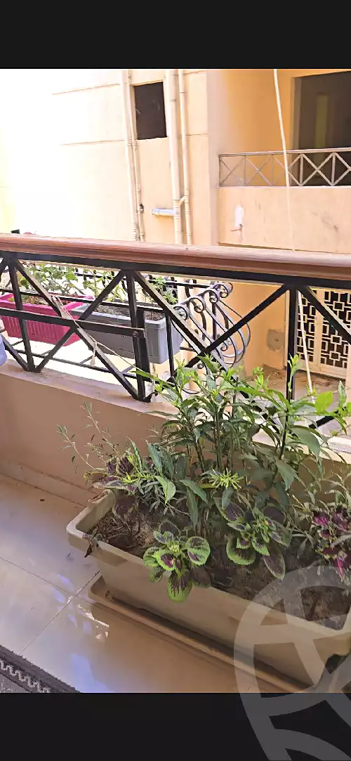 https://aqarmap.com.eg/en/listing/7282379-for-rent-cairo-new-heliopolis-lhy-lsds