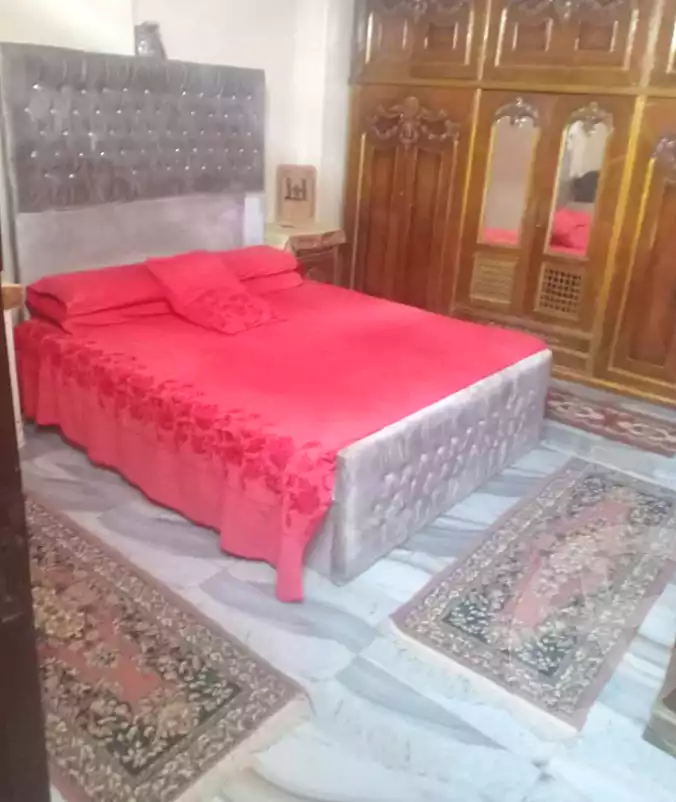 https://aqarmap.com.eg/en/listing/7290243-for-rent-cairo-faisal-el-maryotyah