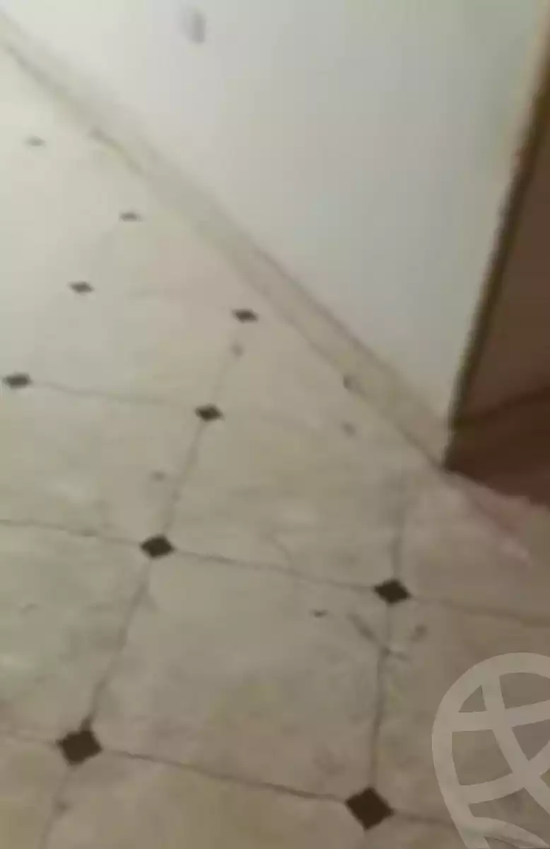 https://aqarmap.com.eg/en/listing/7291963-for-rent-cairo-el-matarya