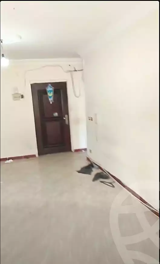 https://aqarmap.com.eg/ar/listing/7292434-for-sale-alexandria-miami-amin-khirat-al-ghandour-st