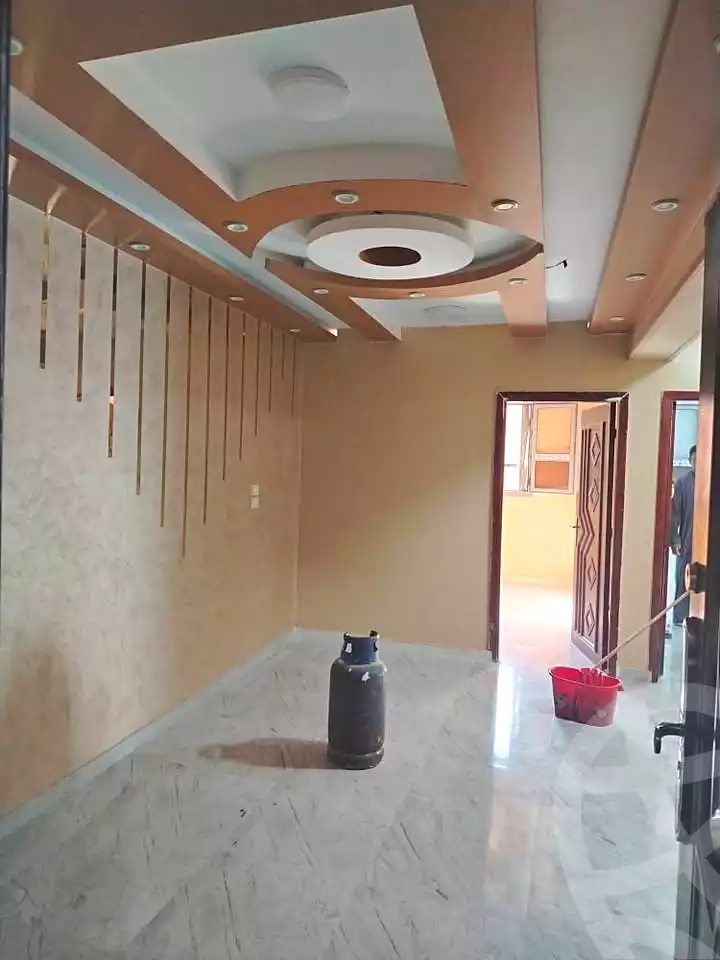 https://aqarmap.com.eg/en/listing/7293341-for-sale-cairo-ain-shams-mnshy-lthryr