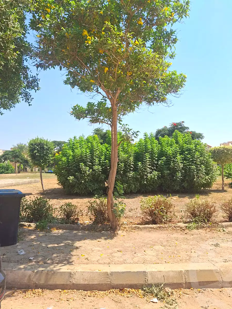 https://aqarmap.com.eg/en/listing/7293620-for-sale-cairo-new-cairo-el-banafsg-el-banafsag-villas