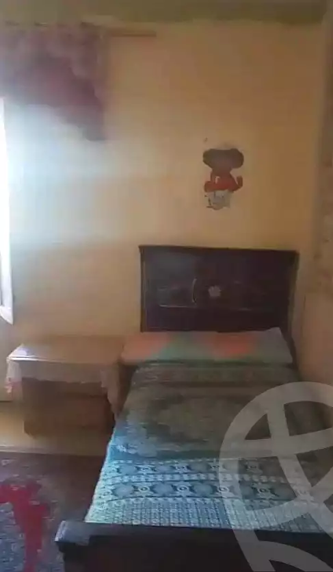 https://aqarmap.com.eg/en/listing/7294840-for-sale-alexandria-el-dekhela