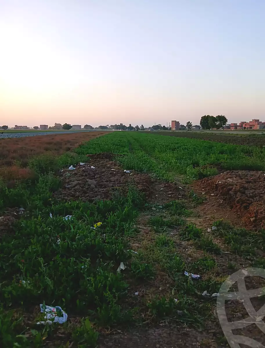https://aqarmap.com.eg/ar/listing/7290396-for-sale-cairo-bashtil