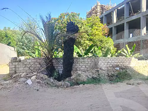 https://aqarmap.com.eg/en/listing/6496646-for-sale-luxor-luxor-city-el-awameya