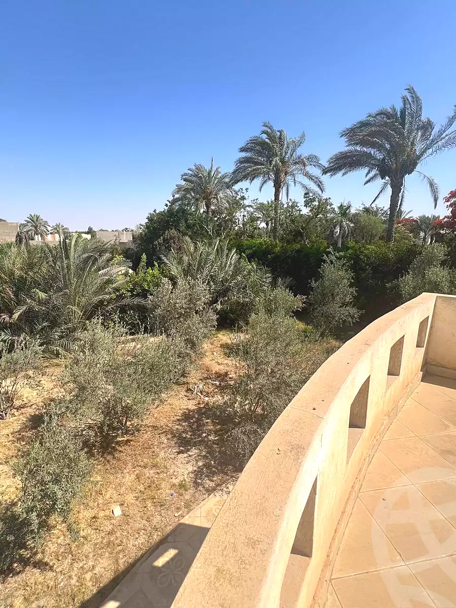 3 BR Villa in Sandorini, photo 5 of 16