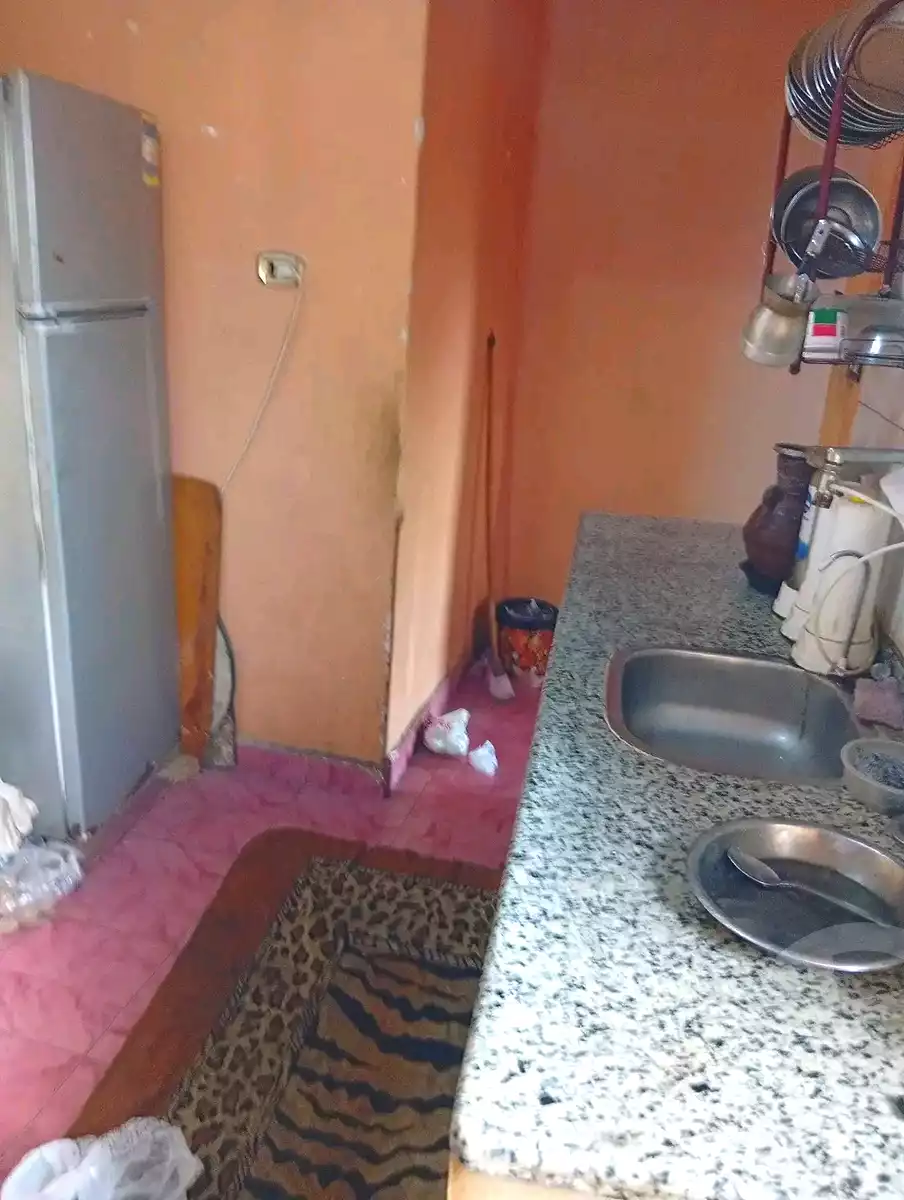 https://aqarmap.com.eg/ar/listing/7298736-for-sale-alexandria-zezenia