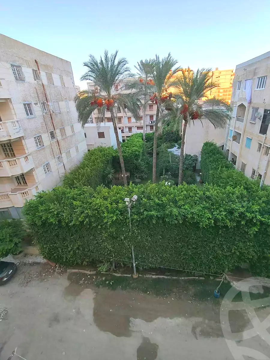 https://aqarmap.com.eg/en/listing/7299479-for-sale-alexandria-al-agamy-shataa-el-nakheel-street-1