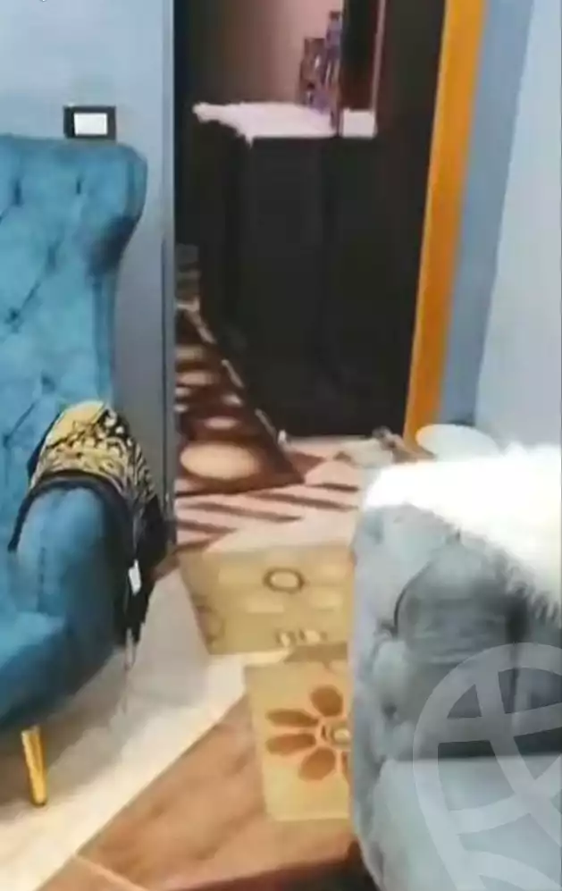 https://aqarmap.com.eg/en/listing/7300784-for-rent-cairo-ain-shams-ahmed-esmat-st