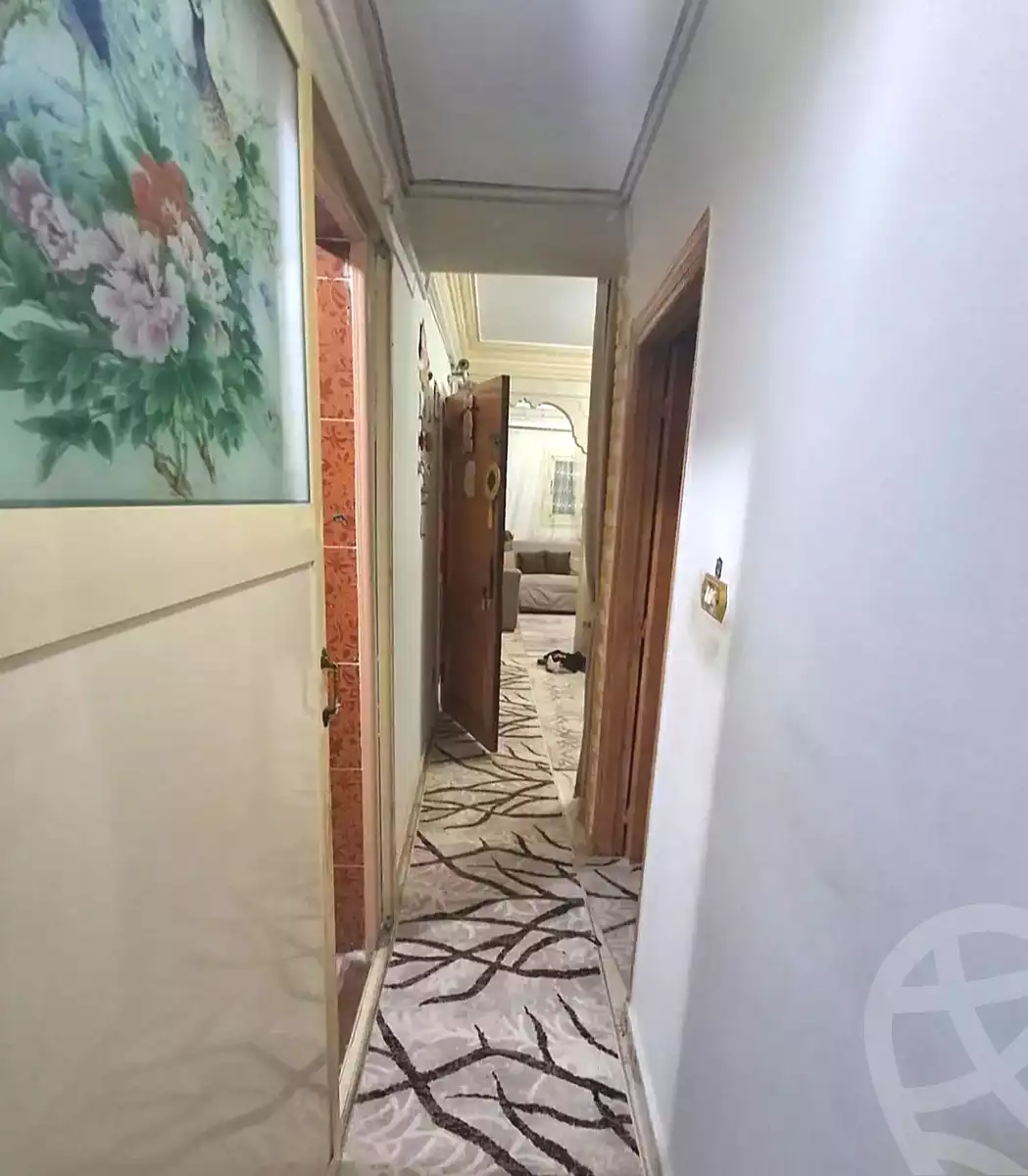 https://aqarmap.com.eg/en/listing/7304176-for-sale-alexandria-lsywf-el-falki-street-16-el-eslah