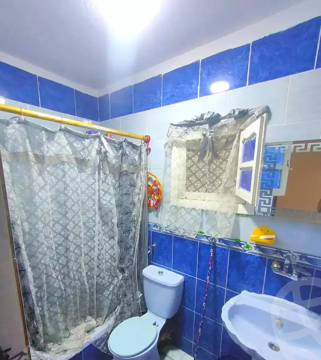 https://aqarmap.com.eg/en/listing/7304826-for-sale-alexandria-lsywf-el-falki-street-16-el-eslah