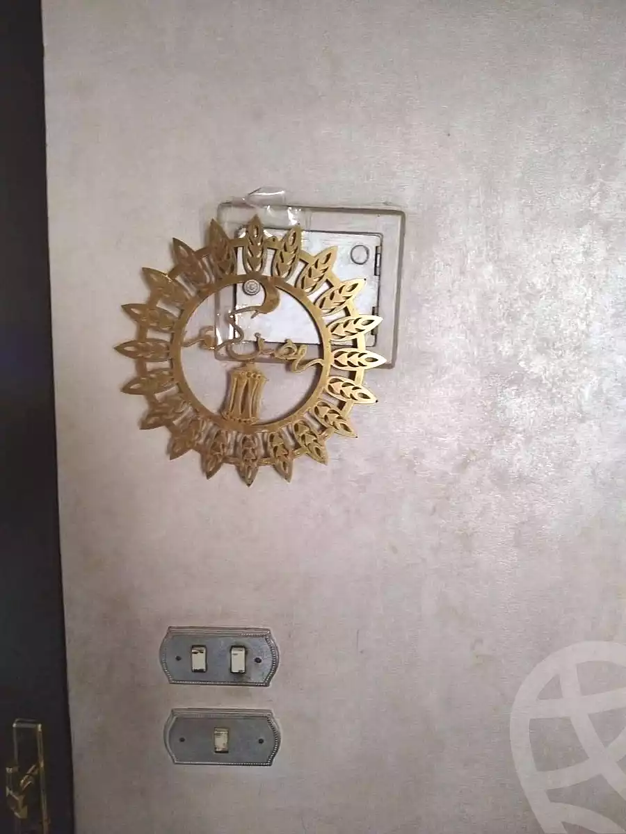 https://aqarmap.com.eg/en/listing/7305085-for-sale-cairo-helwan-mnshy-yn-hlwn-rael-st