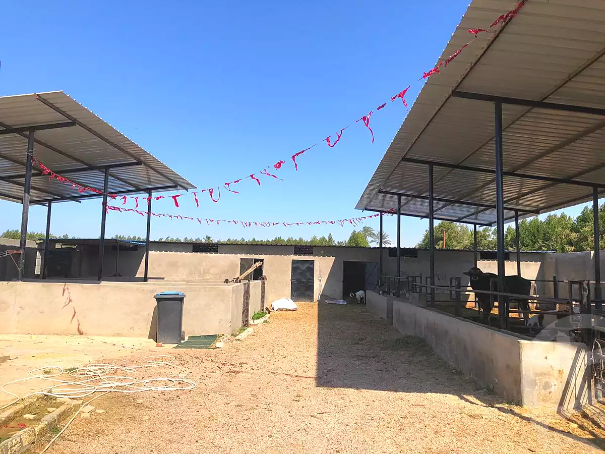 https://aqarmap.com.eg/en/listing/7306882-for-sale-alexandria-borg-el-arab-el-bahira-st