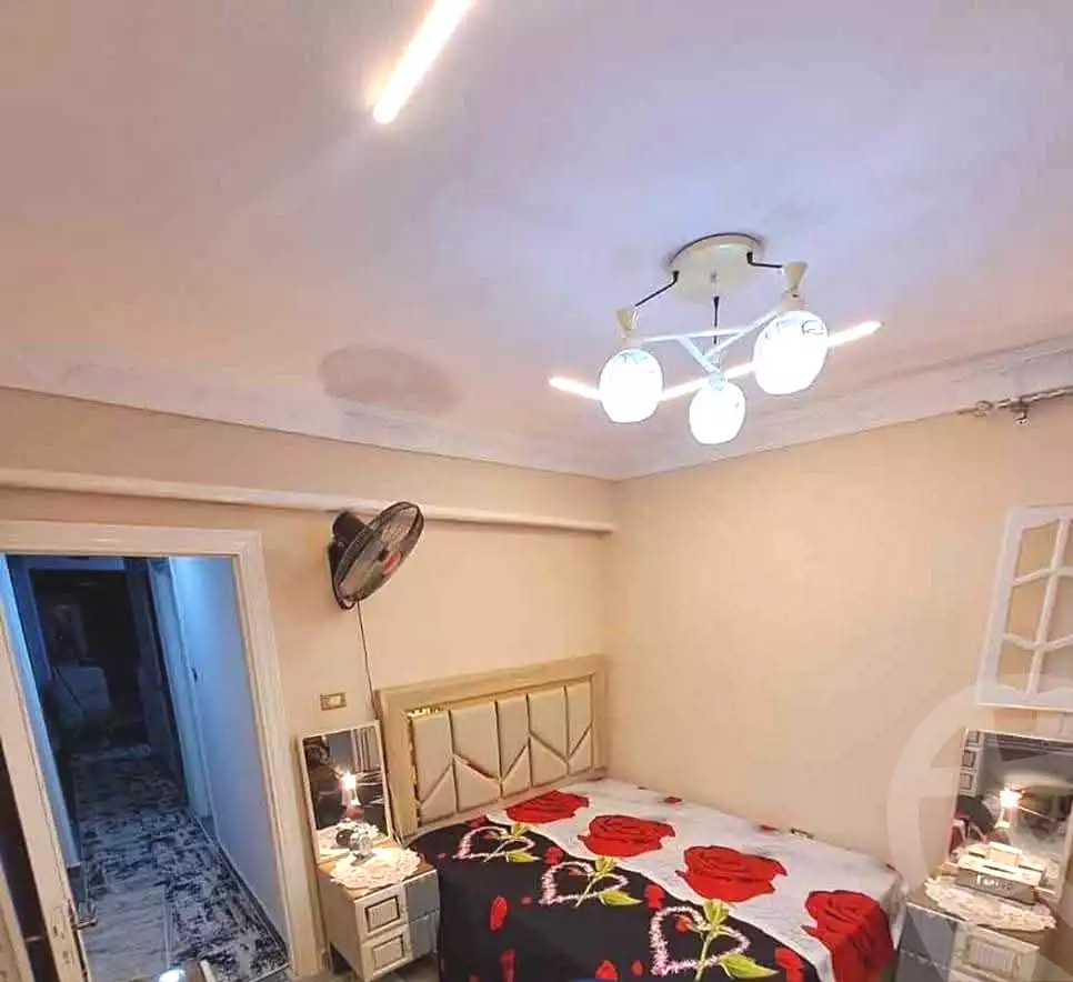 https://aqarmap.com.eg/en/listing/7308574-for-sale-alexandria-al-agamy-lbytsh-ain-shams-st