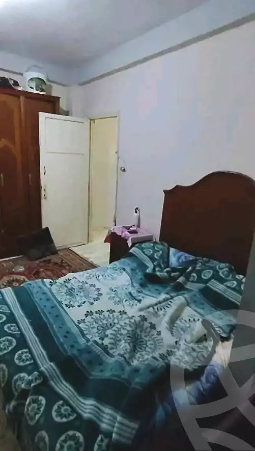 https://aqarmap.com.eg/en/listing/7308590-for-sale-alexandria-el-dekhela