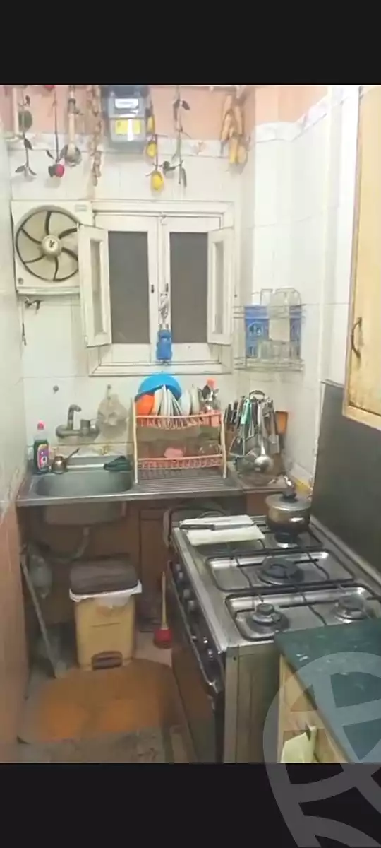 https://aqarmap.com.eg/en/listing/7309861-for-sale-qalyubia-el-khsos-izbat-el-nakhl-rshad-koshk-st
