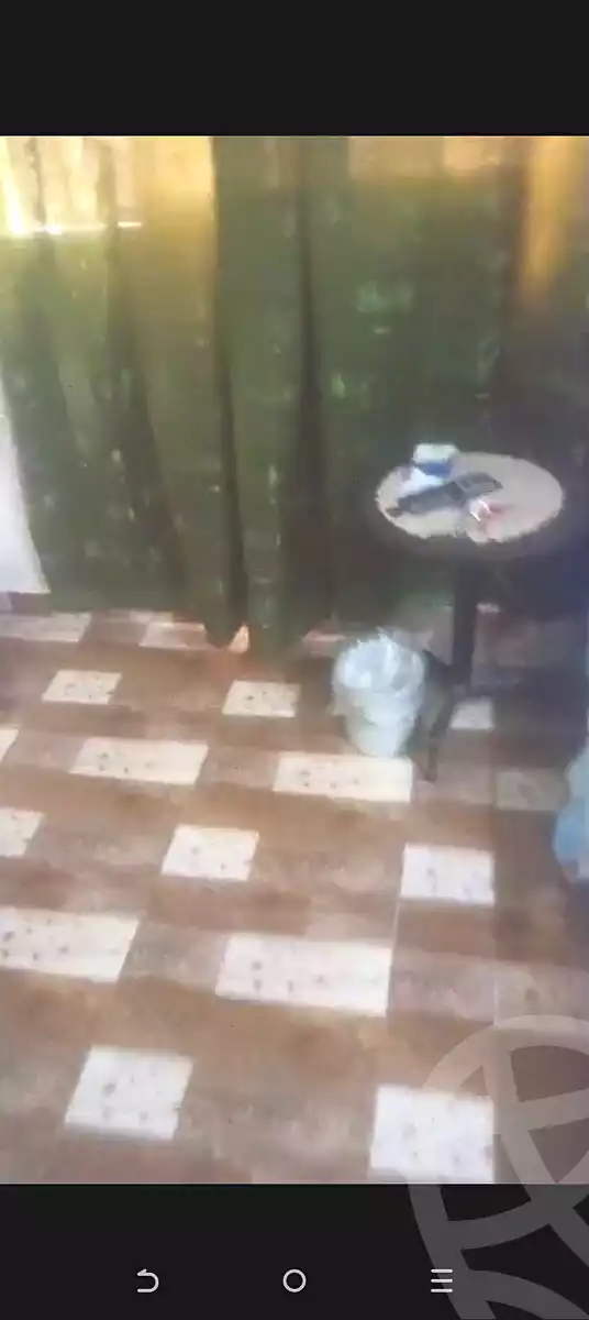 https://aqarmap.com.eg/en/listing/7312678-for-sale-cairo-ain-shams-el-hady-salamah-st
