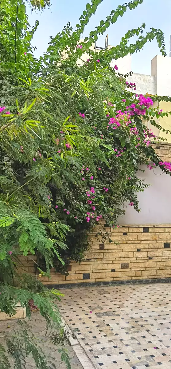 https://aqarmap.com.eg/ar/listing/7312715-for-rent-cairo-el-maadi-el-maadi-el-gededa-el-nasr-st