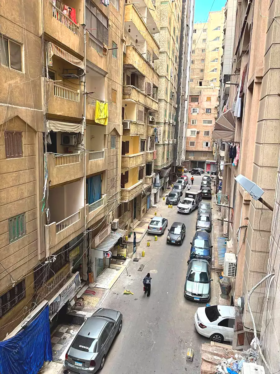 https://aqarmap.com.eg/ar/listing/7315841-for-sale-alexandria-miami-iskandar-ibrahim-st