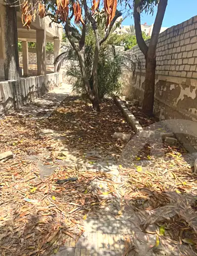 https://aqarmap.com.eg/en/listing/7316513-for-sale-alexandria-al-agamy-bw-ywsf