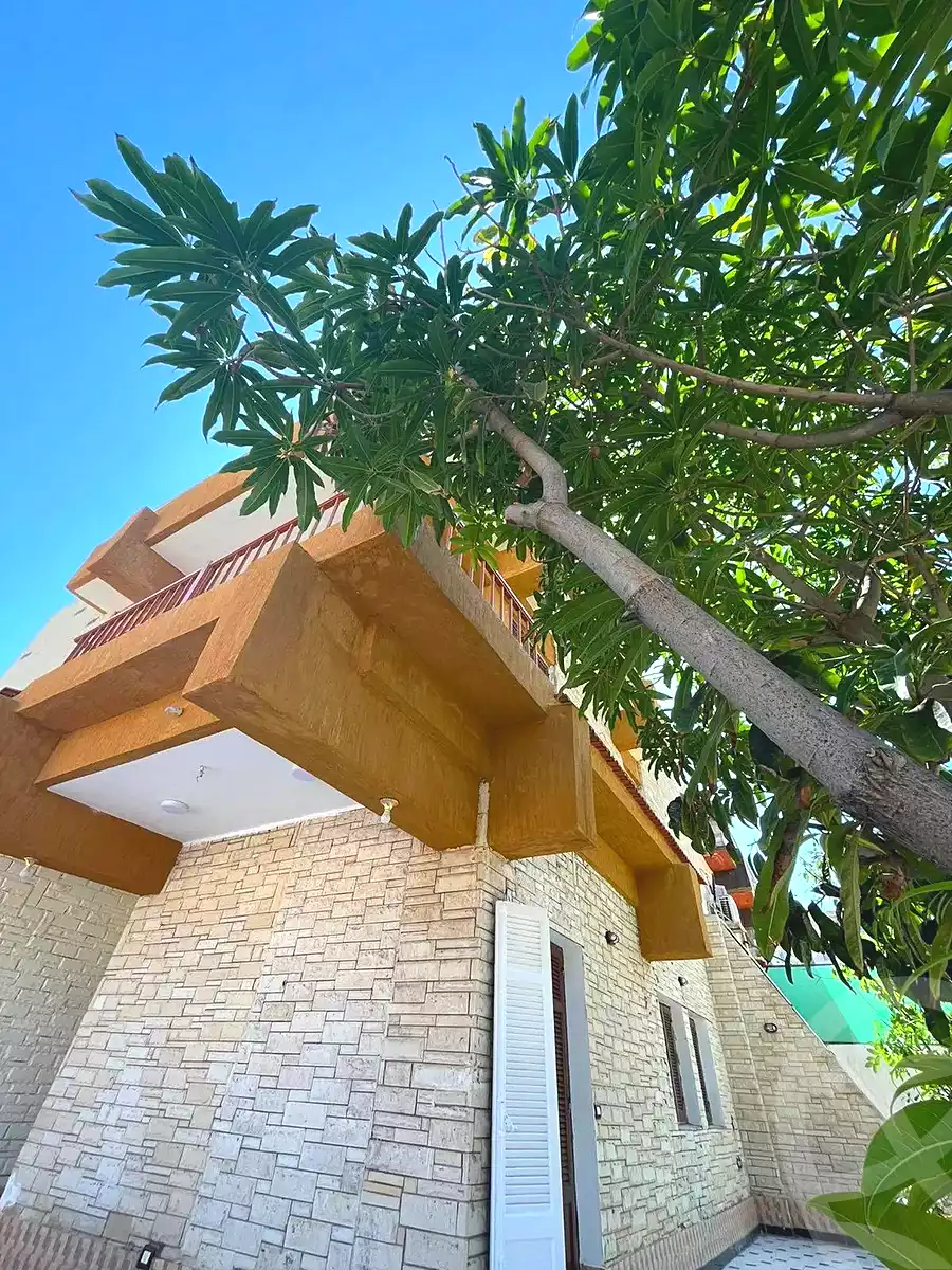 https://aqarmap.com.eg/ar/listing/7320865-for-sale-alexandria-al-agamy-el-hanouvel-el-zahraa-city-st