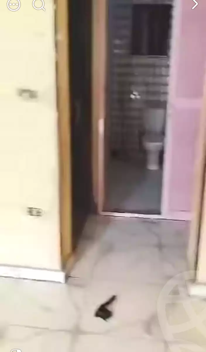 https://aqarmap.com.eg/ar/listing/7322462-for-rent-cairo-faisal-el-tawabeq-el-shaheed-ahmed-hamdy-st