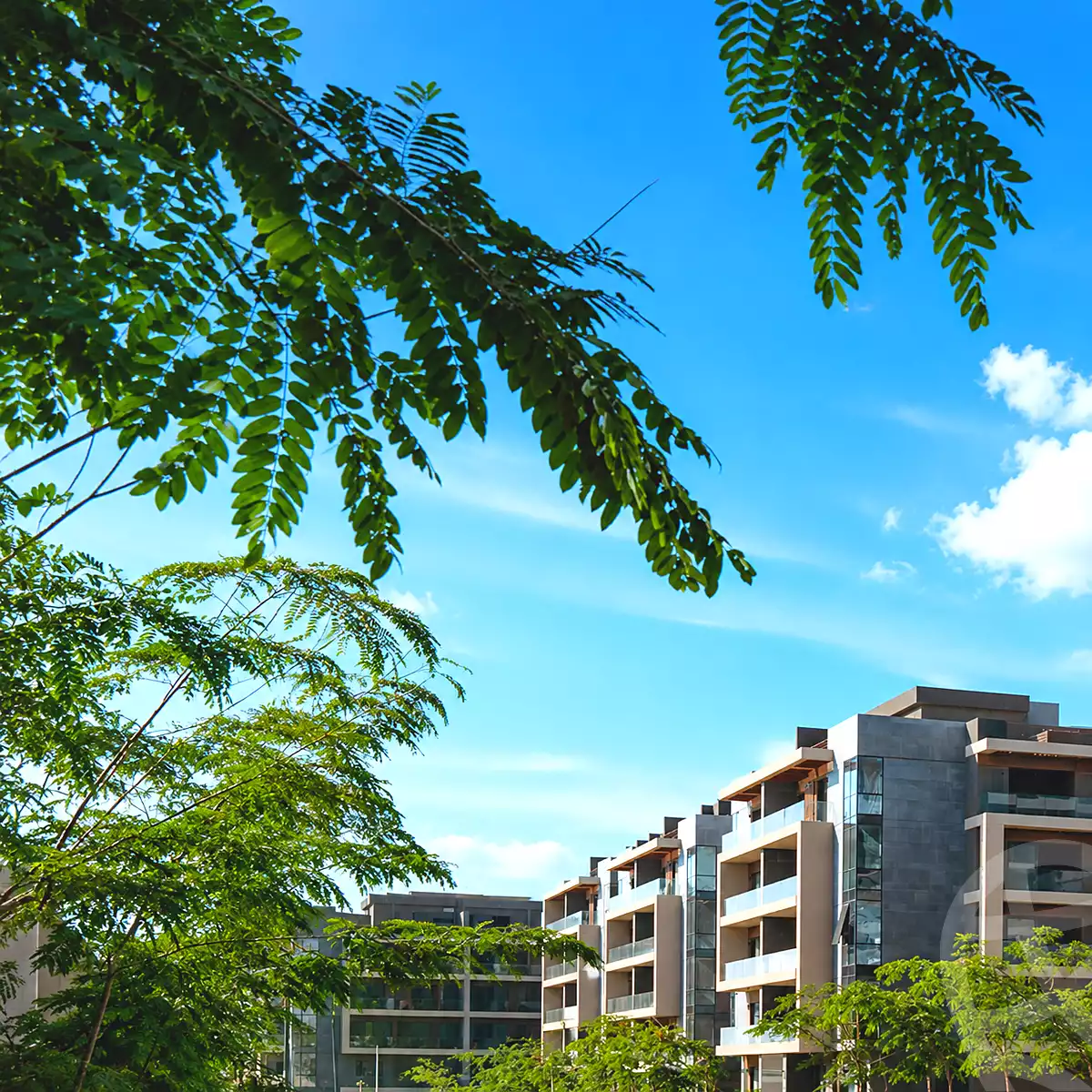 https://aqarmap.com.eg/ar/listing/7322693-for-sale-cairo-new-cairo-compounds-el-patio-oro