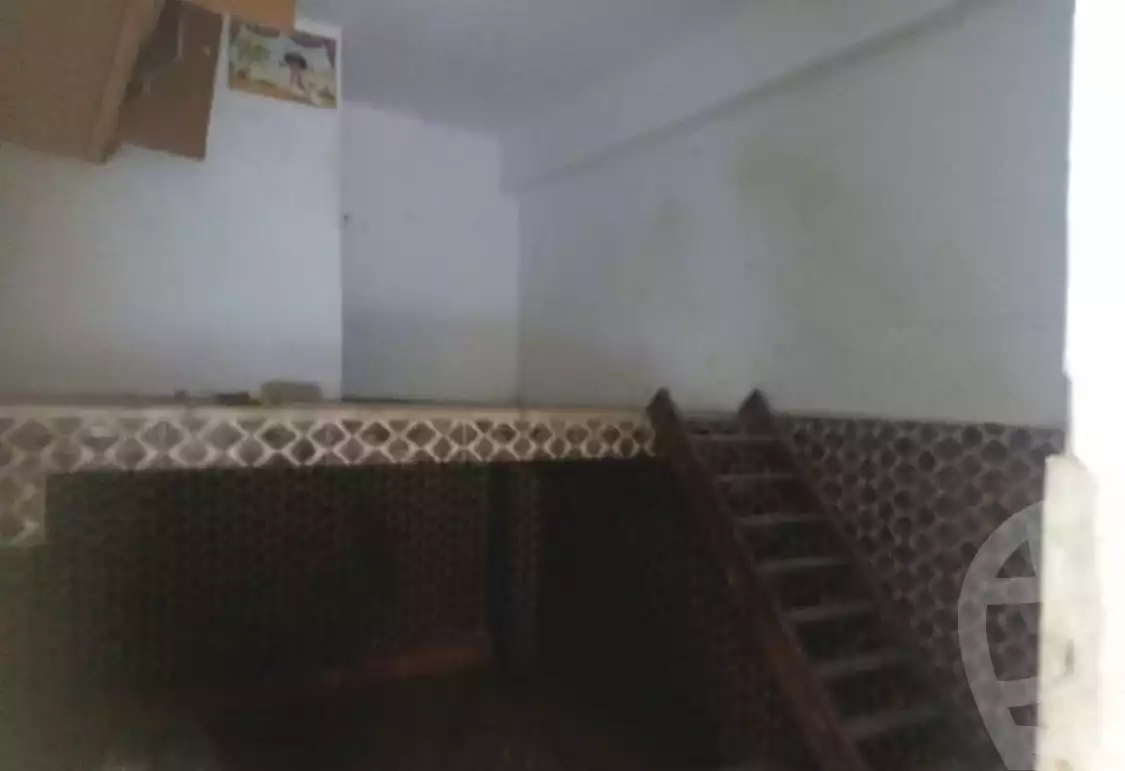 https://aqarmap.com.eg/ar/listing/7325138-for-rent-alexandria-miami